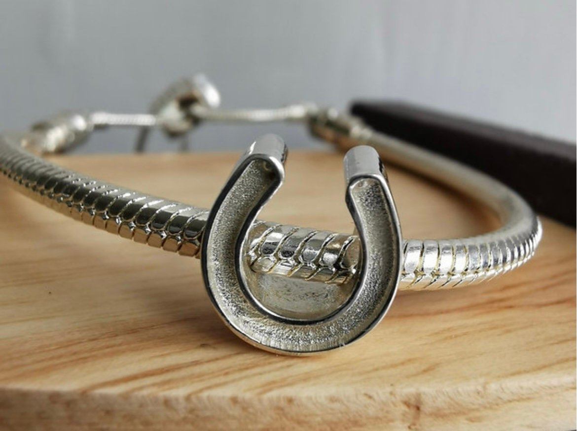 Pandora Bracelet Breastmilk Charm